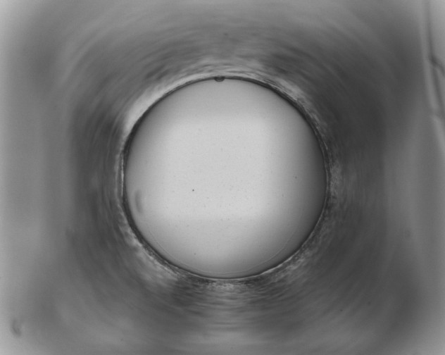 X0000102761520200809020956