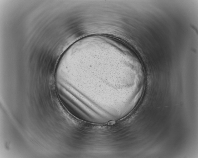 X0000102761521200809020956