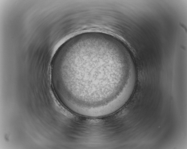 X0000102761522200809020956