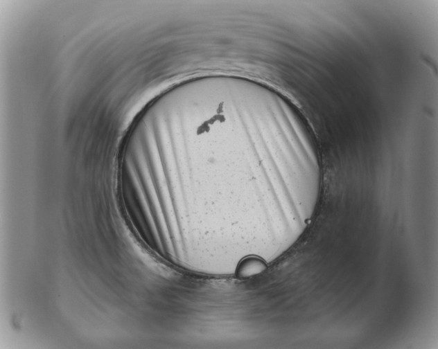 X0000102761523200809020956