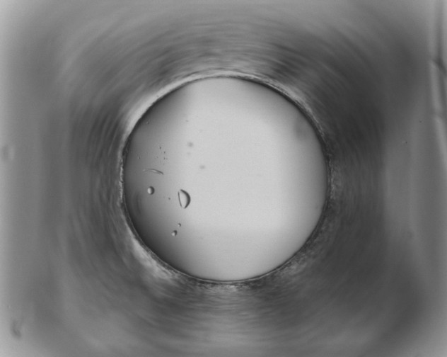 X0000102761524200809020956