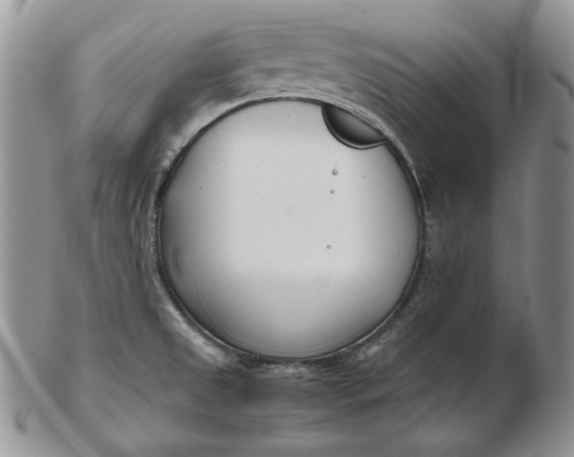 X0000102761525200809020956