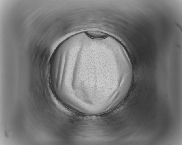 X0000102761526200809020956