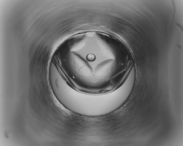 X0000102761528200809020956