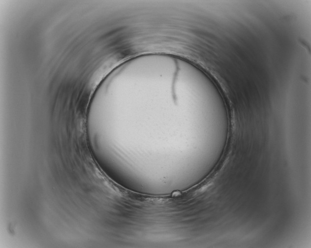 X0000102761529200809020956