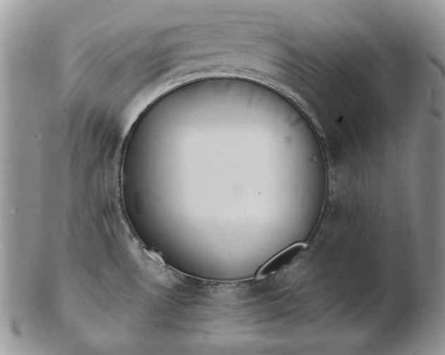 X0000102761530200809020956