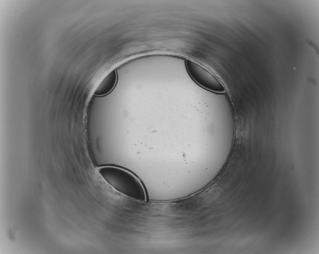 X0000102761532200809020956