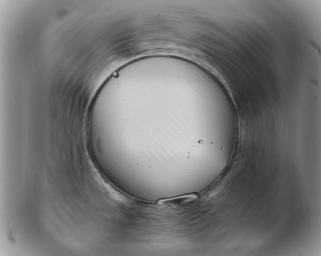 X0000102761533200809020956