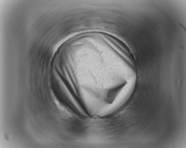 X0000102761534200809020956