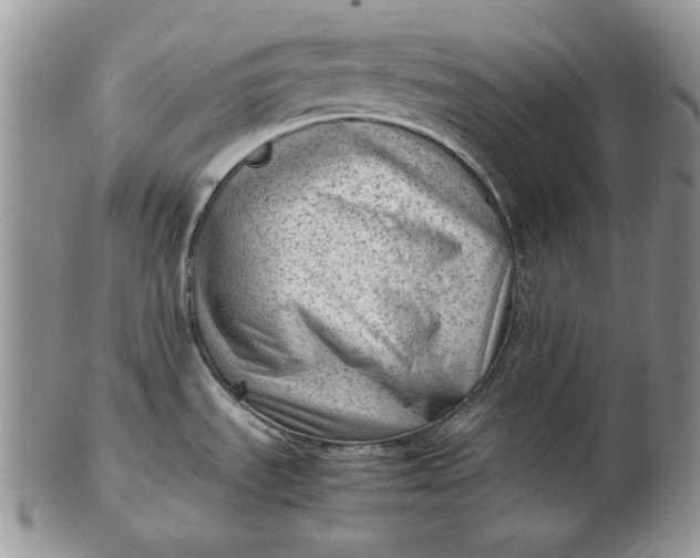 X0000102761535200809020956