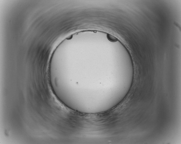 X0000102761536200809020956