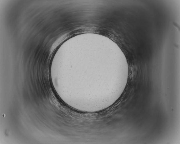 X0000102760004200809080952