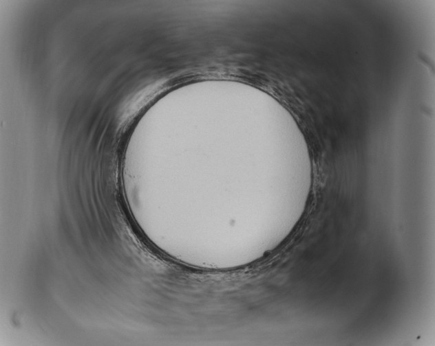 X0000102760005200809080952