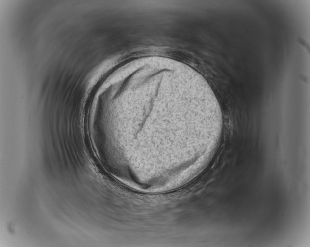 X0000102760006200809080952