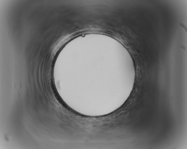 X0000102760007200809080952