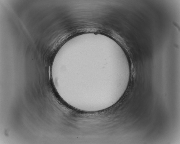 X0000102760013200809080952