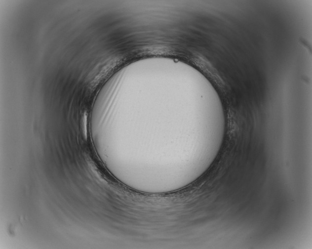 X0000102760014200809080952