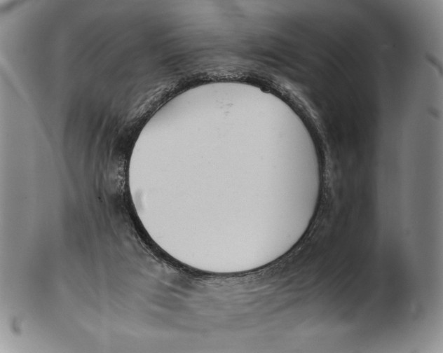 X0000102760017200809080952