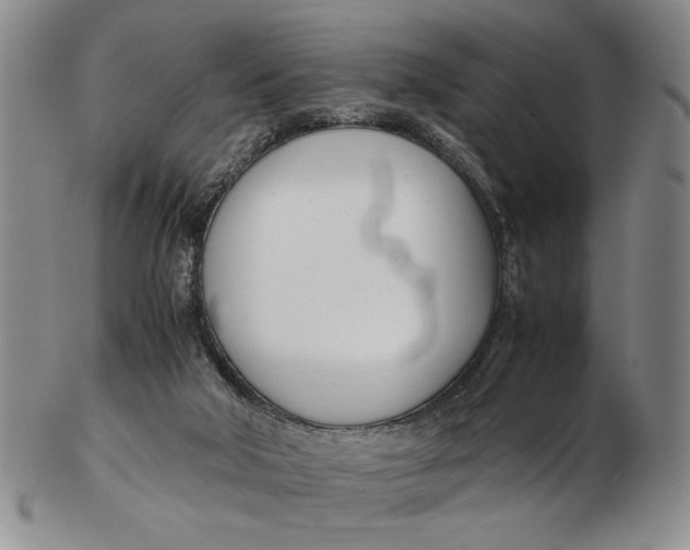 X0000102760018200809080952