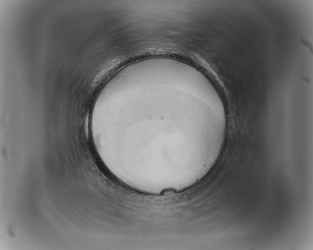 X0000102760019200809080952