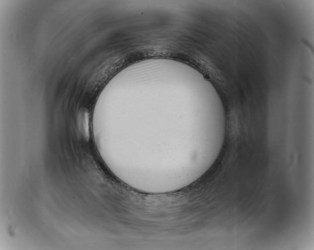 X0000102760022200809080952