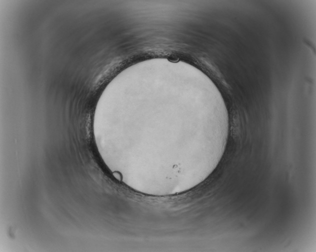 X0000102760023200809080952