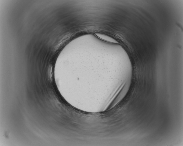 X0000102760024200809080952