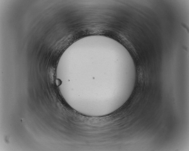 X0000102760026200809080952