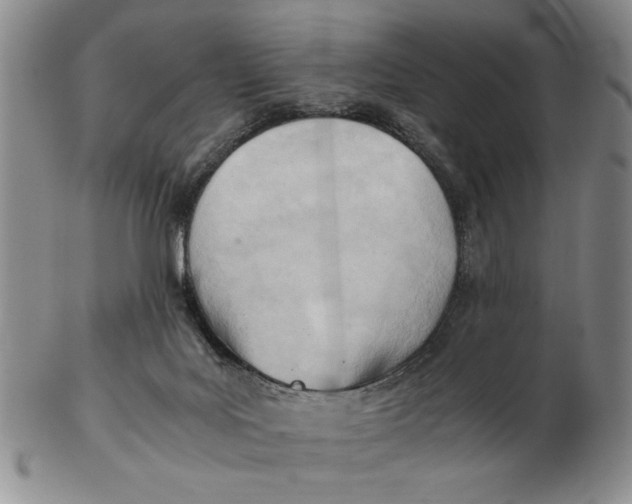 X0000102760027200809080952