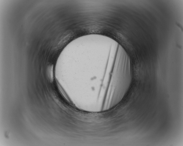 X0000102760028200809080952