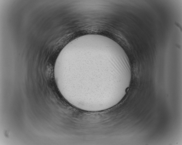 X0000102760029200809080951