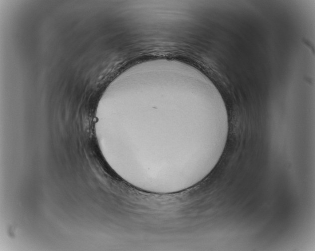 X0000102760031200809080951