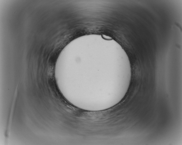 X0000102760033200809080951