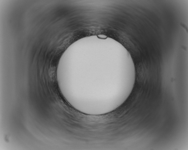 X0000102760034200809080951