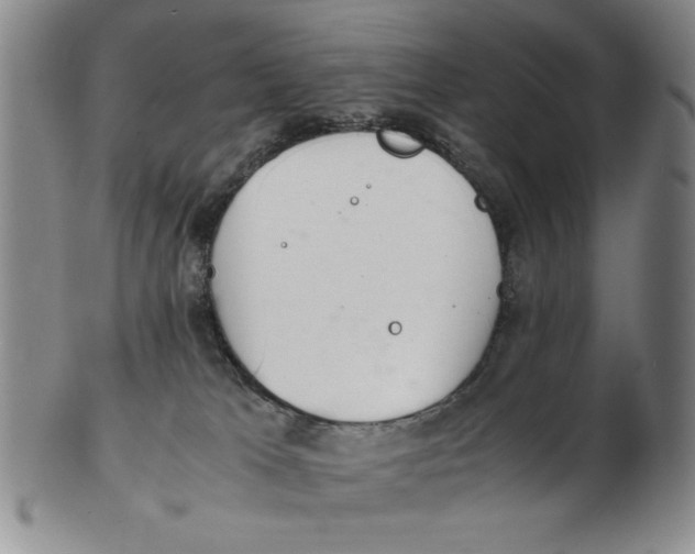 X0000102760037200809080951