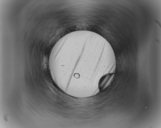 X0000102760038200809080951