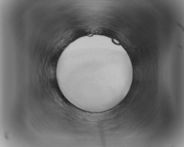 X0000102760039200809080951