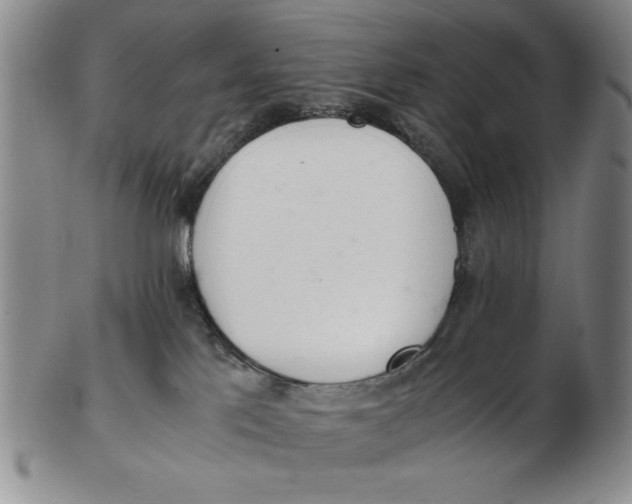 X0000102760041200809080951