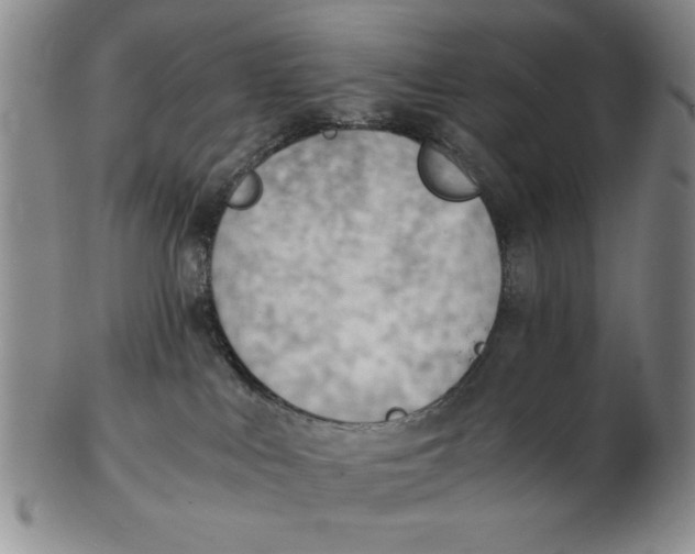 X0000102760043200809080951