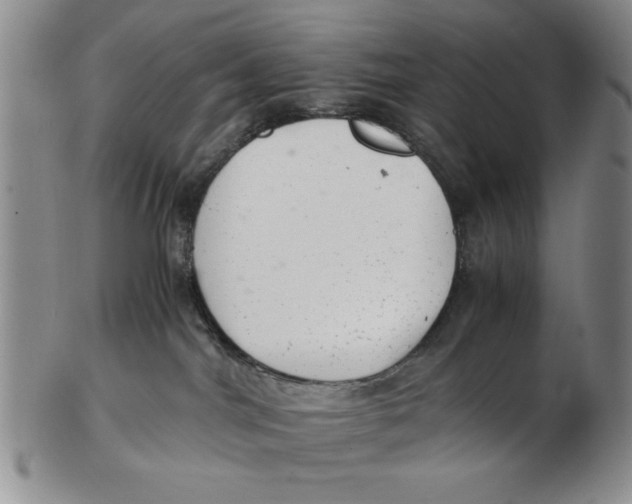 X0000102760044200809080951