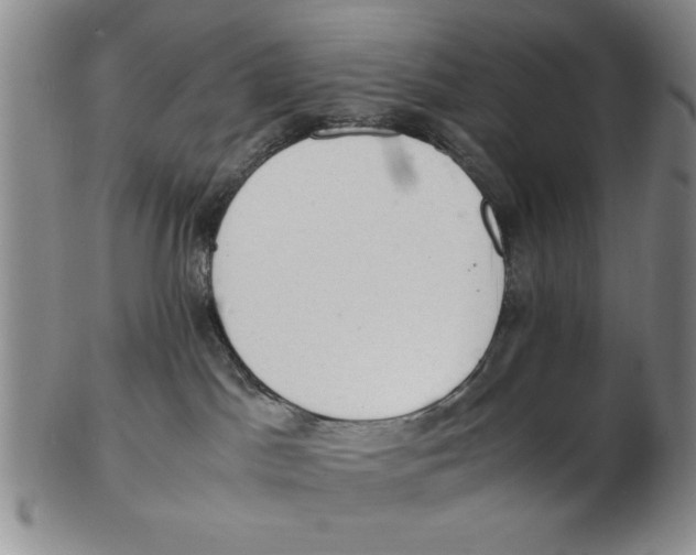 X0000102760045200809080951