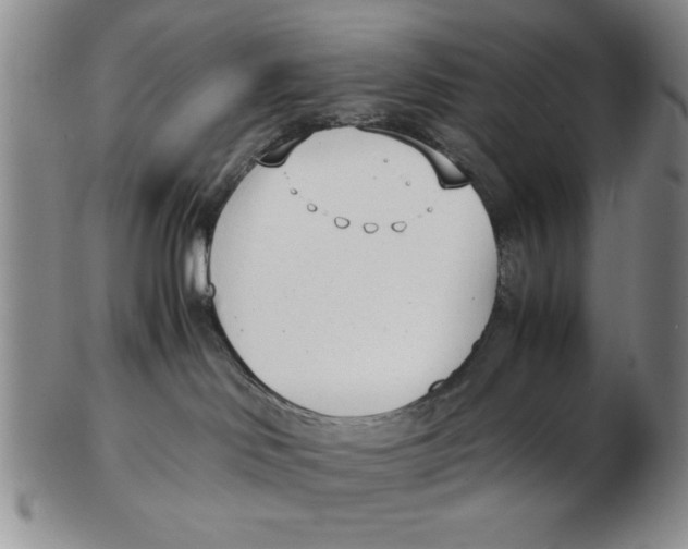 X0000102760046200809080951