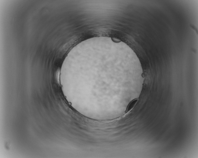 X0000102760047200809080951