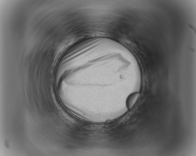 X0000102760049200809080951