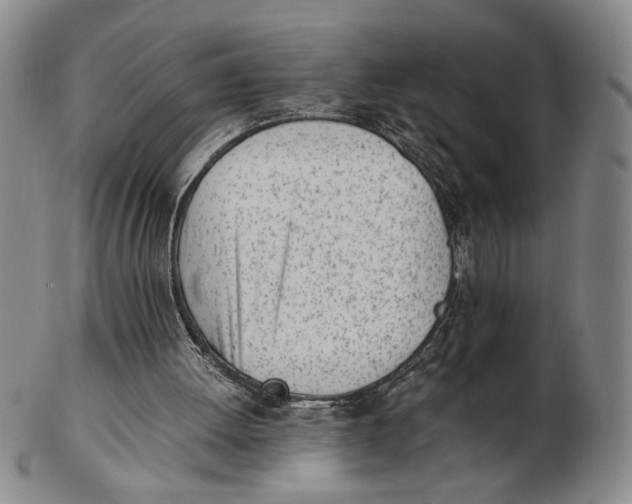 X0000102760052200809080951