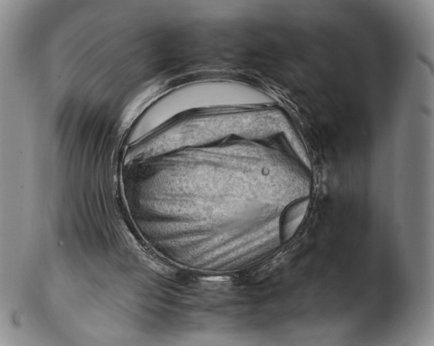 X0000102760053200809080951