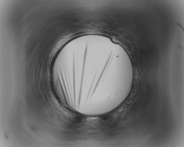 X0000102760055200809080951