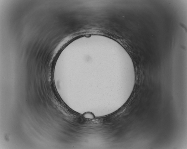 X0000102760056200809080951