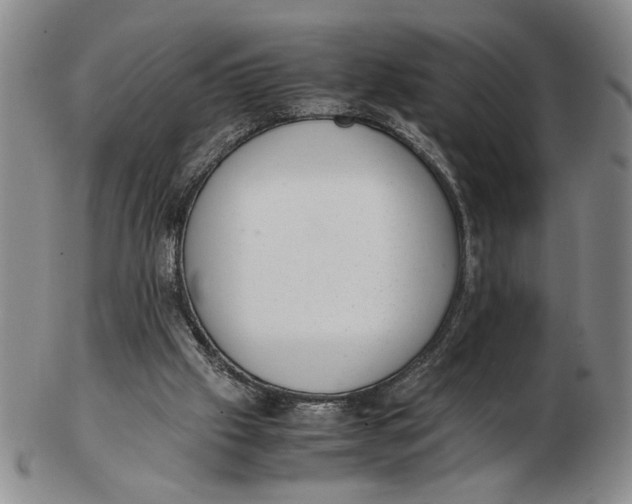 X0000102760057200809080951