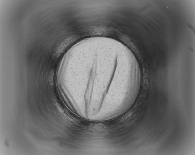 X0000102760058200809080951